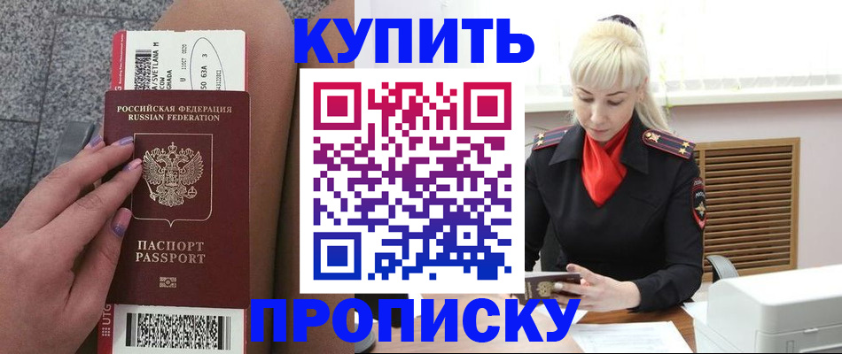 временная регистрация надежно в Камчатской области
